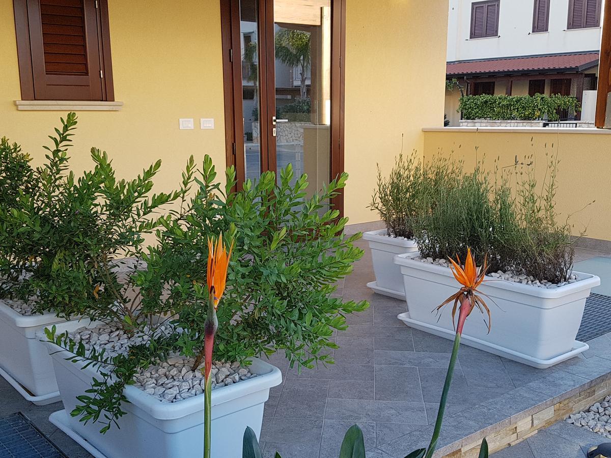 B&B Aloe Comfort Rooms Сан-Віто-Ло-Капо Екстер'єр фото